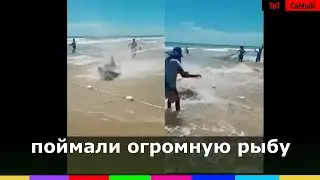 в деревне праздник поймали огромную рыбу