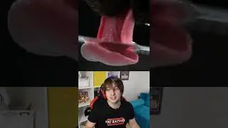 КАК ПЬЮТ СОБАКИ и КОТЫ?