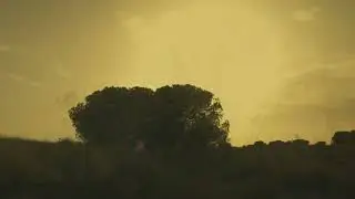 Paseo al atardecer  por el cabo de Santa Pola 2024