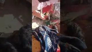 Part 22