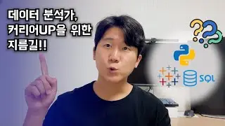 데이터 분석가의 커리어 향상 방법 | 풀스택 분석가 | 데이터 분석 |  데이터 엔지니어링
