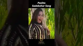 Wrake Tyare Shwe | Kishwar Sultan | Pashto Sdabahar Song