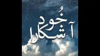 خُود آشکارا  -  Dk David