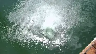 The Hidden Lake in Katy, TX.