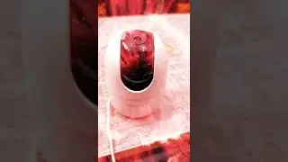 How to Reset IMOU Camera