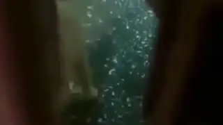 Konusan kediler