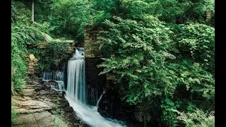 Atlanta's Secret Trails and Trees