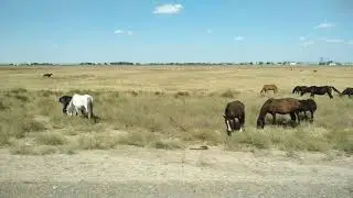 путешествие