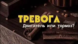 Тревога — наш двигатель или тормоз?