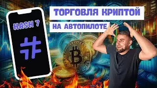 Эксперимент с Hash7: Автоторговля на споте