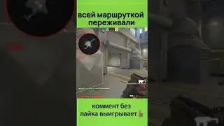 всей маршруткой переживали