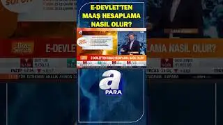 E-Devlet'ten Maaş Hesaplama Nasıl Olur Faruk Erdem Tek Tek Açıkladı 