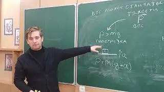 7 сила упругости