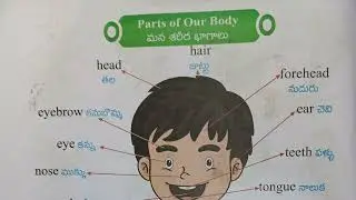 Parts of human body explaining english to telugu
