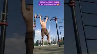 #ninja