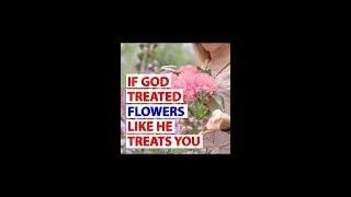 If GOD Gave His BIBLE to the Flowers
