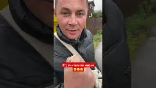 Я ваш учитель по жизни! 😀