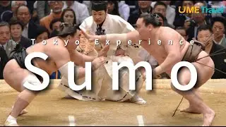 Tokyo Experience： Visit Sumo wrestlers training