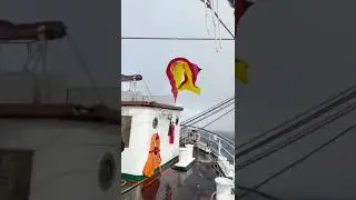 Cruce a vela del Cabo de Hornos 2023