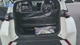 CT-NEV 🚗byd  seagull