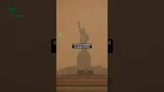 Нью-Йорк окрасился в оранжевый цвет из-за дыма