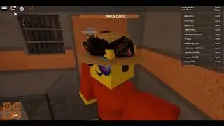 Roblox Stateview Prison Roleplay