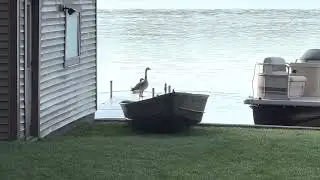 The lake house!!!!