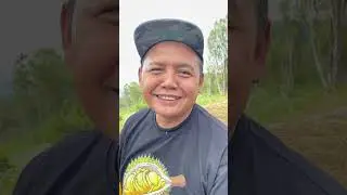 Teman laknat!