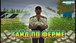A FARMING GUIDE for BEGINNERS in 2026 on AMAZING ONLINE