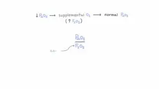 PaO2 to FiO2 ratio