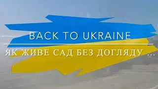 Як живе сад без догляду ...