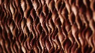 What Is Evaporative Cooling?
