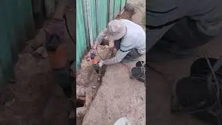 17 августа 2024 г.