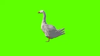 Green screen Duck video | White Duck Idle green screen
