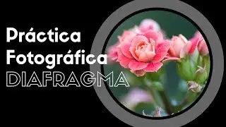 Práctica fotográfica: El diafragma