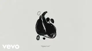 Leiva - Expertos
