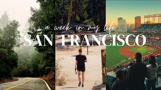 Traveling to San Francisco on a work trip as a QA Engineer