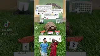 🔵LAZIO VS ROMA🟡 #calcio #turtle #fantacalcio #seriea #highlights #roma #lazio #derby #lukaku