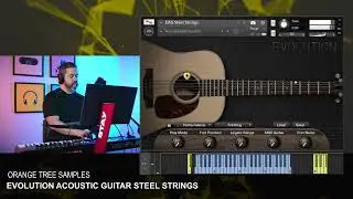 Orange Tree - Evolution Acoustic Guitar - Steel Strings - KONTAKT - All Playing No Talking!