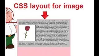 css layout for image | css for image