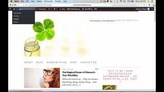 How to Log Into Your Wordpress Site