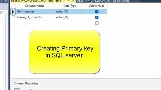 Primary key violation error in SQL server@COMPUTEREXCELSOLUTION