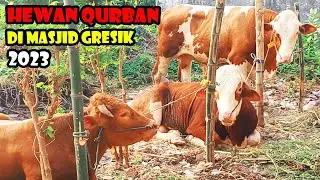 Hewan Qurban di Masjid Gresik Jawa Timur 2023