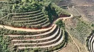 Rice Terraces in January📍Mu Cang Chai, Vietnam. Vietnam Motorbike Tours #motorbiketourexpert