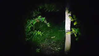 GEREBEK TEMPAT RITUAL PESUGIHAN  WIKWIK GN.KEMUKUS
