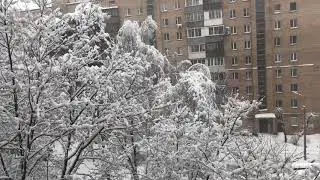 Зимние прогулки
