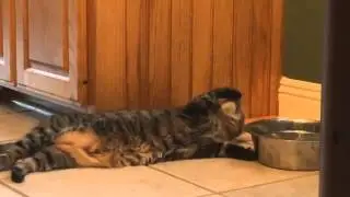 Леньтяй