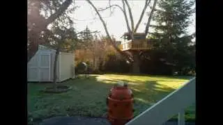 1 Day In 1 Minute with Raspberry Pi Camera Time-Lapse