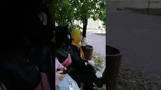 Маффин и лисики отдыхают
