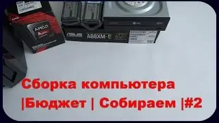 Сборка компьютера | Бюджет | Собираем |#2